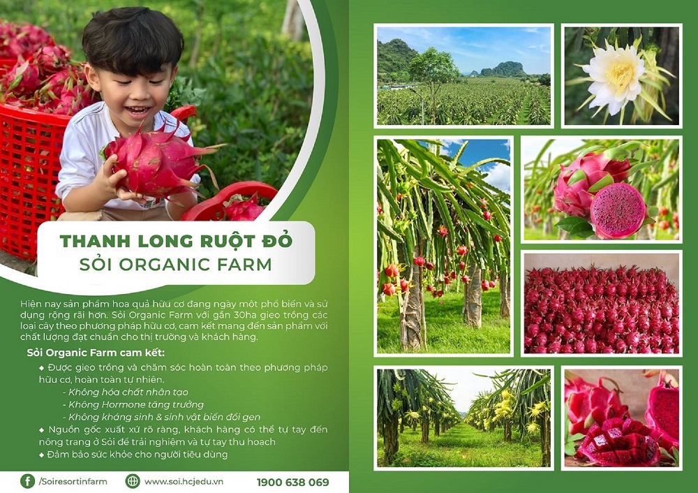 Sản phẩm nông nghiệp hữu cơ